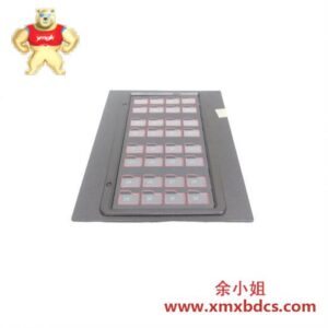 ABB ABB Bailey IIADP02 显示面板