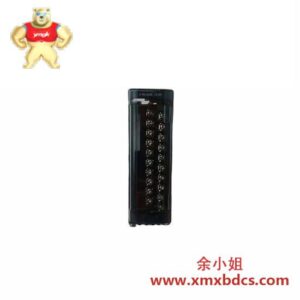 GE通用电气 IC694ACC311 终端块模块
