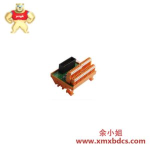 霍尼韦尔 FC-TSDI-1624 数字输入现场终端组装模块