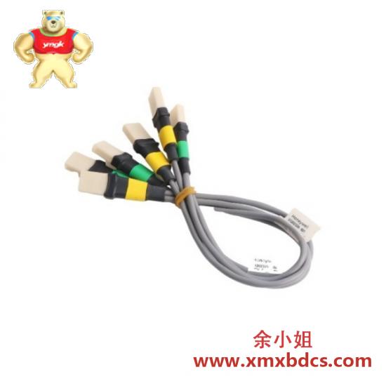 霍尼韦尔 FS-IOBUS-CPIO4 工业IO总线模块，连接控制器机箱至IO机箱