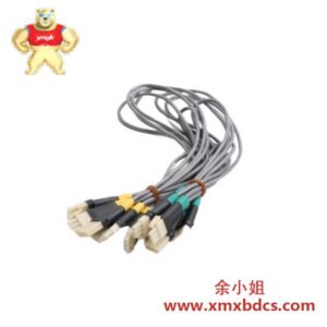 霍尼韦尔 FS-PDC-CPSET 控制处理器电源分配电缆组件