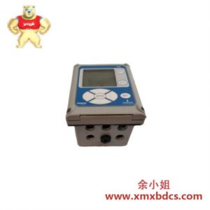 罗斯蒙特 1056-01-22-38-AN 分析仪