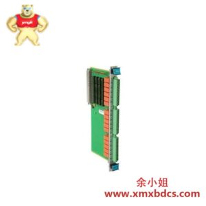VIBRO-METER VM600 200-565-000-013 工业控制模块