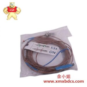 EPRO PR6423/000-031 PLC 控制器模块
