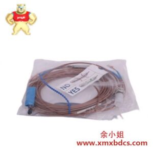 EPRO PR6423/000-031 PLC 控制器模块