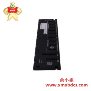 GE GE IC693ALG391F 模拟输入输出模块