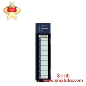 GE GE IC695ALG626 高性能模拟量输入模块