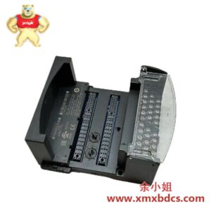 GE IC200CHS001适配器模块