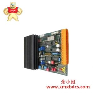 INFICON Others MSM0606 分析仪器模块