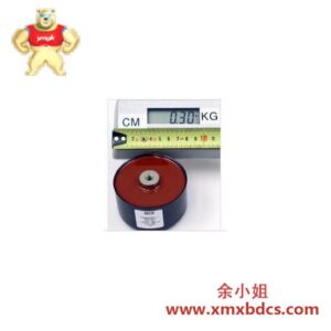 ABB ABB FPX86P0305J 工业控制器模块