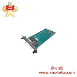 Bailey Controls IMMPI01 多功能处理器接口模块