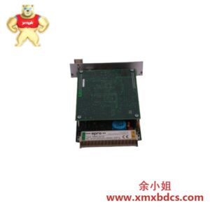 EMERSON MMS6210振动监测卡