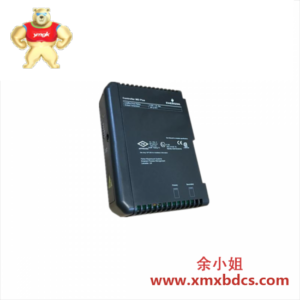 EMERSON VE4002S1T2B1 DeltaV模块 - 高精度工业控制解决方案