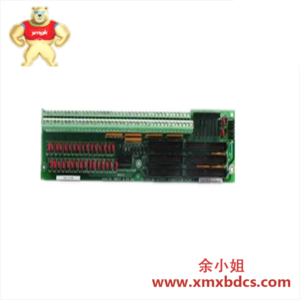 GE DS200TCQAG1AFC模拟输入输出板