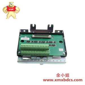 GE IS230SNRTH2A 输入模块