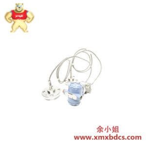 罗斯蒙特 1199DDB05ARFW41DBB7D 编码器