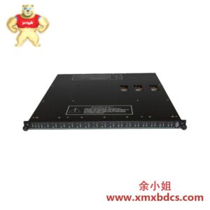 英维思Triconex 3624数字输入输出模块