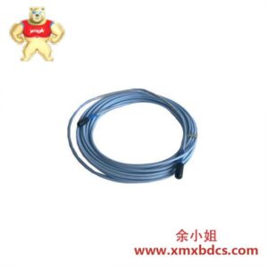 Bently Nevada 9200-03-01-10-00 高精度振动监测模块