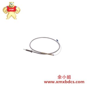 BENTLY NEVADA 330910-06-25-05-11-00 靠近传感器