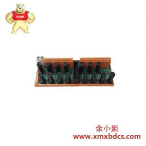 霍尼韦尔 FS-TSGAS-1624 数字输入现场端子组装模块