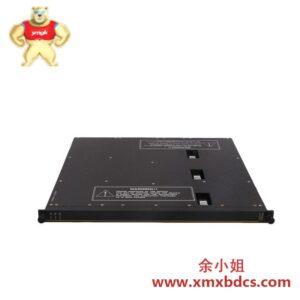 TRICONEX 4000093-320电缆组件