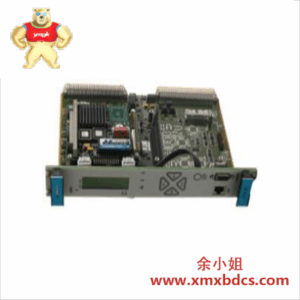 Meggitt Vibro Meter CPU-M 200-595-064-114 控制模块