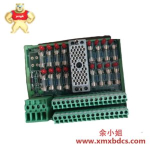 英维思Triconex 9563-810 数字输入终端面板