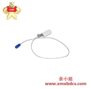 BENTLY NEVADA 30000-00-10-18-02 靠近探头传感器