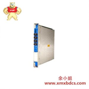 BENTLY Nevada 330104-00-06-10-02-CN 高精度振动监测传感器