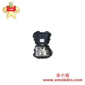 BENTLY NEVADA TK-3e 177313-01-01-00 靠近系统测试套件