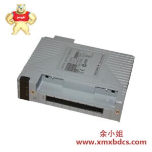 YOKOGAWA 雅马哈 ADV551-P10-S2 数字I/O模块