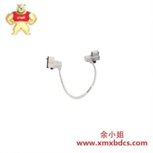 贝克曼库尔特PLC 1794-CE1 Flex I/O扩展电缆