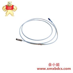 BENTLY NEVADA 330105-02-12-90-02-053300 XL 8mm 靠近电缆