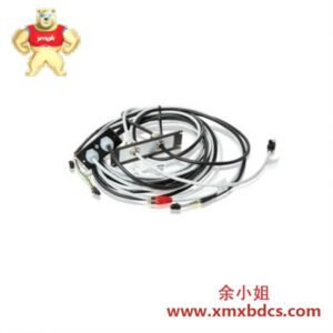 ABB ABB 3HAC021591-005 硬件通信驱动器/控制器 4米自动化部件