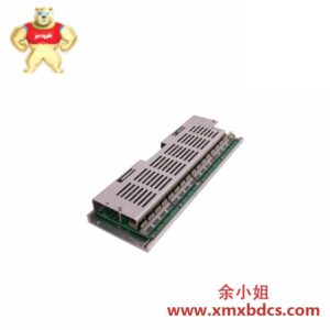 ABB DDO04 0369644M 数字输出模块