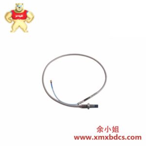 Bently Nevada 高精度接近传感器 RS901104-03-050-10-01 R200602-400808
