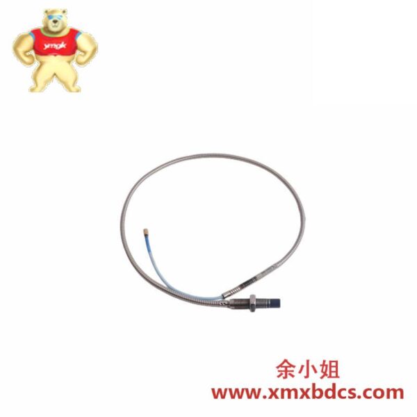 Bently Nevada 高精度接近传感器 RS901104-03-050-10-01 R200602-400808