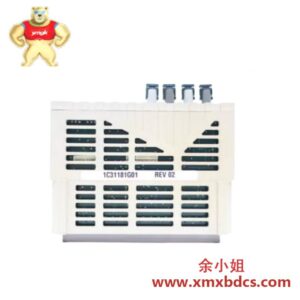 EMERSON 1C31181G01 远程模块 I/O 控制模块