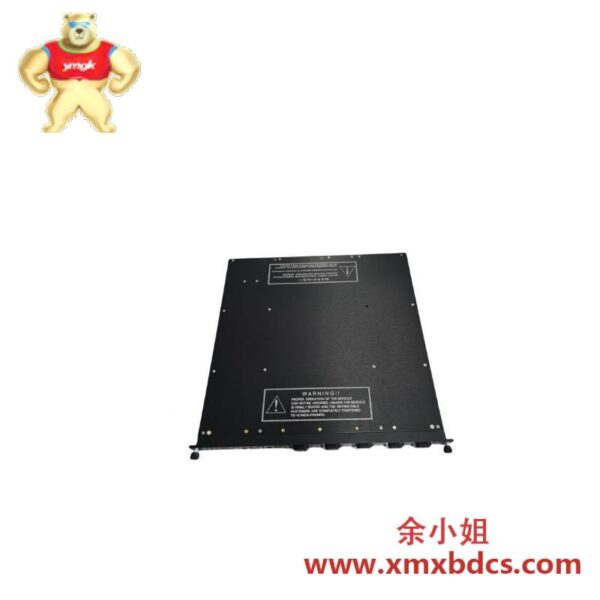 TRICONEX 4000093-210 高精度工业控制模块
