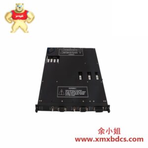 TRICONEX 4000093-210 高精度工业控制模块
