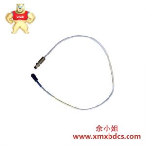 Bently Nevada BN3300XL-330106-05-30--C10-D02-E00 反装探针