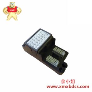 Emerson KJ4001X1-CG1 热电偶终端块, 适用于DeltaV系统
