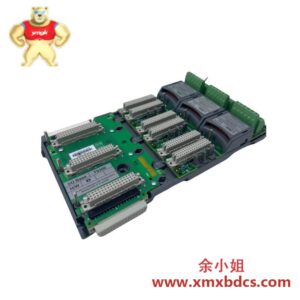 ICS Triplex T9300AADvance 控制器 模块 大类