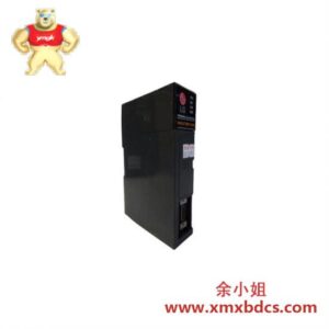 MASTER-K K1P-02H 控制处理器单元