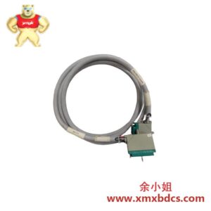 TRICONEX 9792-610 工业控制模块