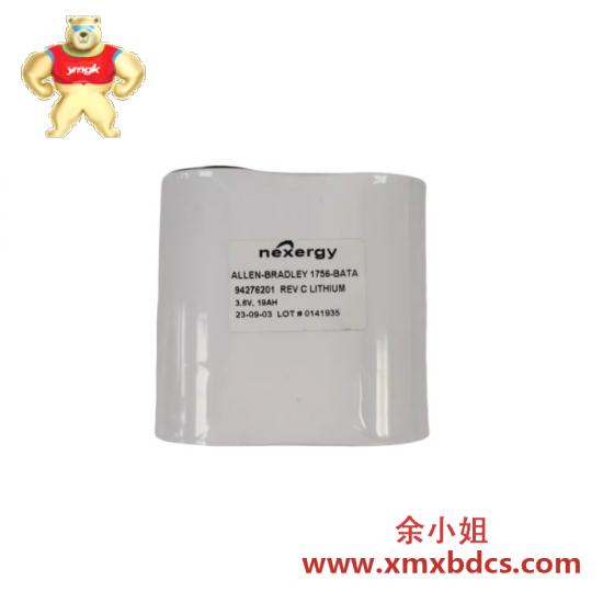 1756-bata_1756bata_replacement_battery_for_1756-batm.jpg 艾伦-布拉德利 1756-BATA 电池模块 替换电池