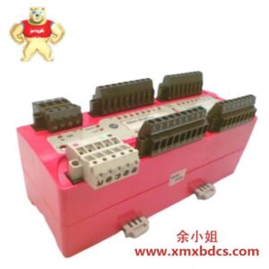 艾默生 Others 1791DS-IB16 Guard I/O 16点数字组合模块
