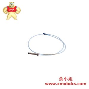 BENTLY NEVADA 330905-00-10-10-02-CN3300 靠近探头