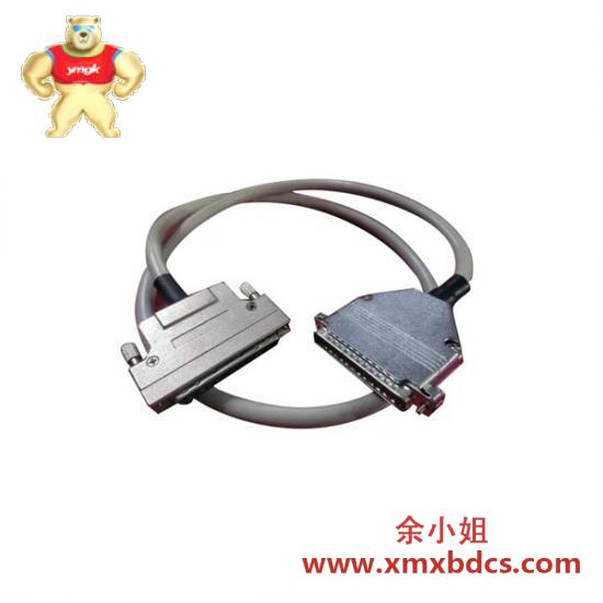 foxboro_p0500ux_peripheral_cable.jpg 福克斯波罗FOXBOARO P0500UX 外围电缆
