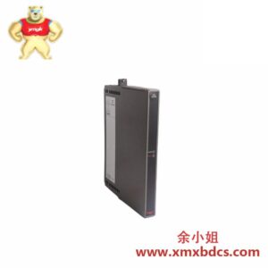 ICS Triplex T3310 数字输入模块